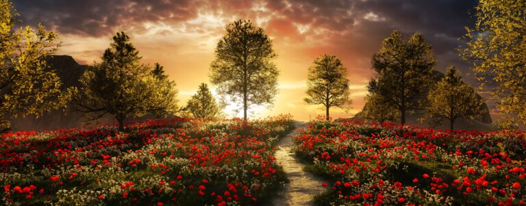 Golden sunset Image with a pathway surrounded by red flowers and foliage
